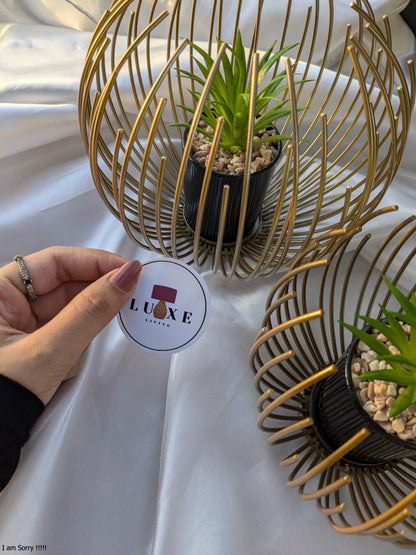 Imported Metallic Golden Globe Decor with Planter Inside
